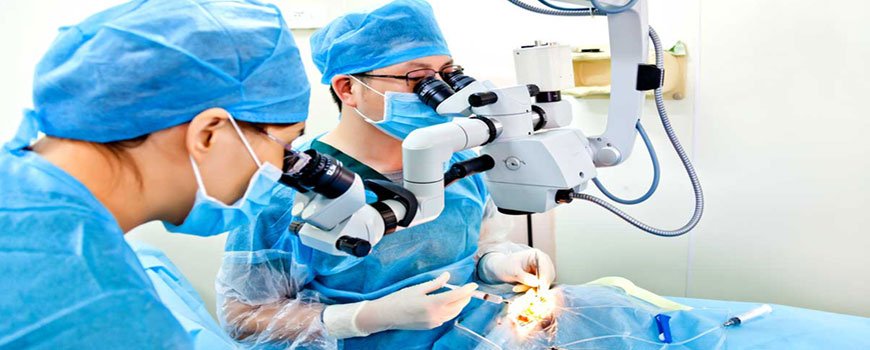 Surgical Patients