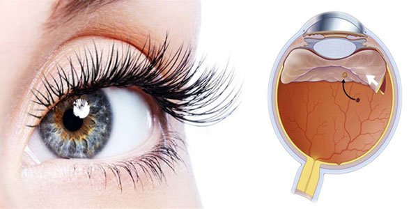 Vitreo Retina Services